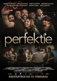 Plakat filmu Perfektie