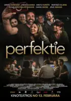 plakat filmu Perfektie