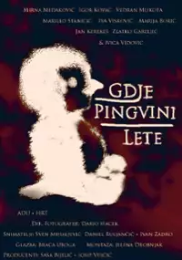 Plakat filmu Gdje pingvini lete