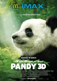 Plakat filmu Pandy 3D
