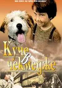 Plakat filmu Pies w szufladzie