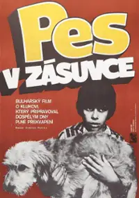 Plakat filmu Pies w szufladzie