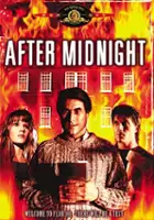 plakat filmu Po p&oacute;łnocy