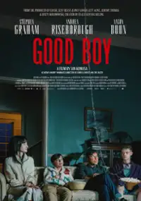 Plakat filmu Dobry chłopiec
