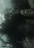 Fanny Klefelt / Seaweed