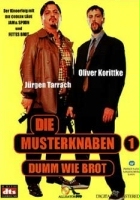 plakat filmu Die Musterknaben