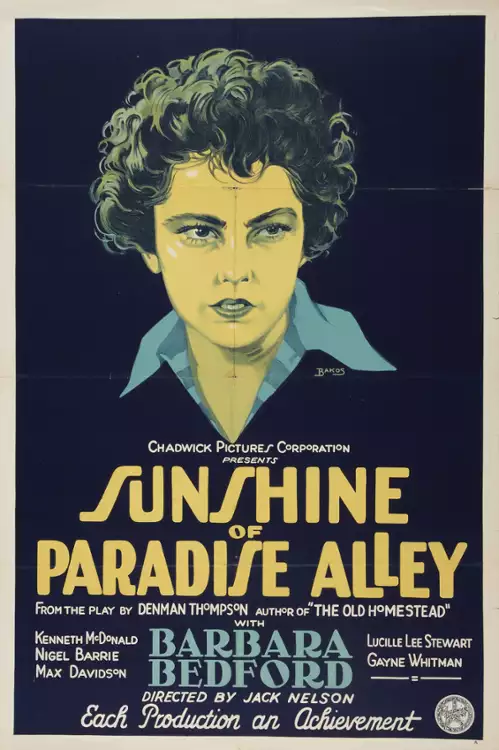 plakat filmu Sunshine of Paradise Alley
