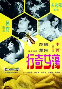 Plakat filmu Dang Nu Ji Hang