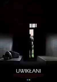 Plakat filmu Uwikłani