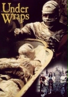 plakat filmu Przygoda z mumią