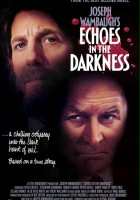 plakat filmu Echoes in the Darkness