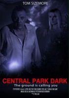 plakat filmu Central Park Dark
