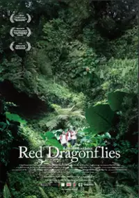 Plakat filmu Hong qingting