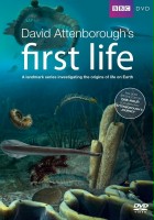 plakat filmu Początki życia według Davida Attenborough