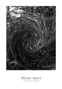 Plakat filmu (Flora exit)