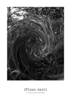 plakat filmu(Flora exit)