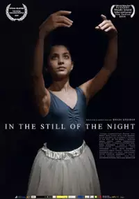 Plakat filmu In Der Stille Der Nacht