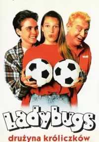 Plakat filmu Drużyna biedronek