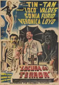 Plakat filmu Locura de terror