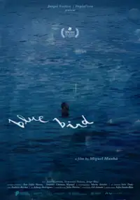 Plakat filmu Niebieski ptak