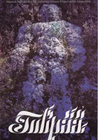 Plakat filmu Tulipää