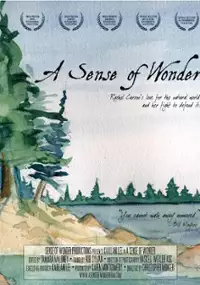Plakat filmu A Sense of Wonder