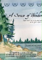 plakat filmu A Sense of Wonder