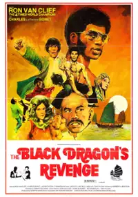 Plakat filmu Long zheng hu dou jing wu hun
