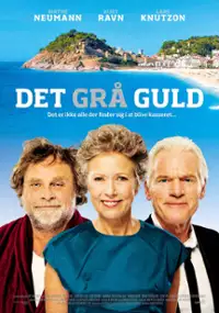 Plakat filmu Det grå guld