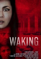 plakat filmu Waking