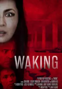 Plakat filmu Waking