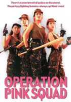 plakat filmu Ba wang nu fu xing