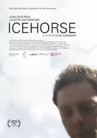Plakat filmu IJspaard
