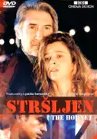 Mirko Vlahović / Strsljen