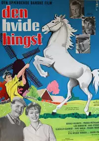 Plakat filmu Den Hvide hingst