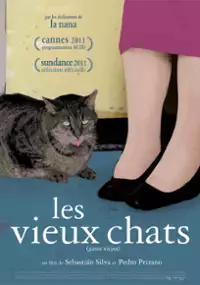 Plakat filmu Old Cats