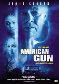 Plakat filmu American Gun