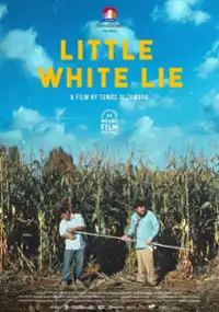Plakat filmu Kłamstewko