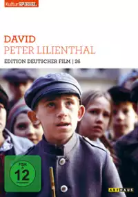 Plakat filmu David