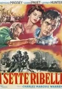 Plakat filmu Seven Angry Men