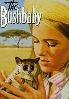 plakat filmu The Bushbaby