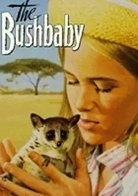 Plakat filmu The Bushbaby