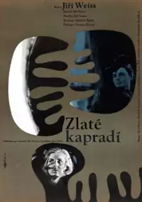 Plakat filmu Zlaté kapradí