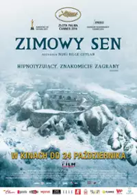 Plakat filmu Zimowy sen