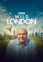 plakat filmu Londyn Davida Attenborough