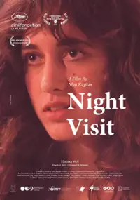 Plakat filmu Nocna wizyta