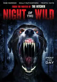 Plakat filmu Night of the Wild