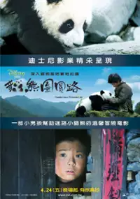 Plakat filmu Panda