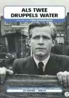 plakat filmu Als twee druppels water