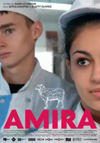 Plakat filmu Amira